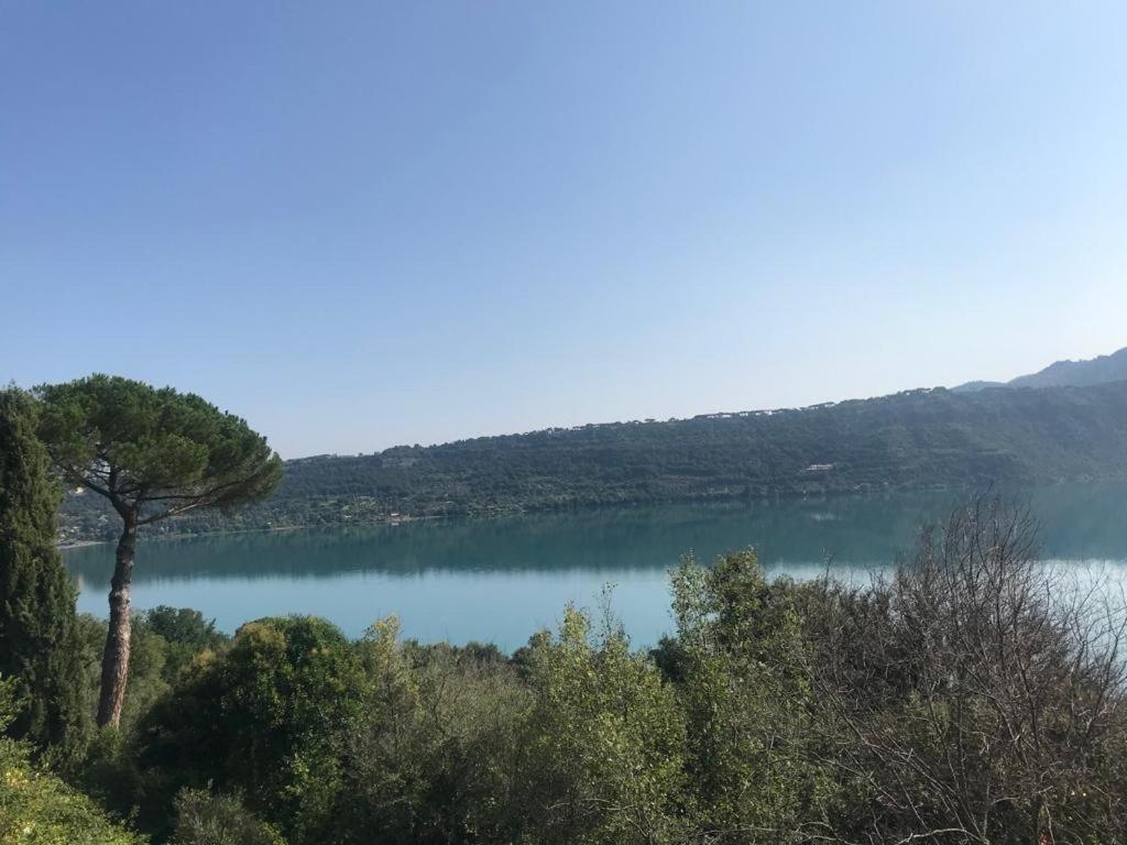 Villa Maximo Apartment Albano Laziale Εξωτερικό φωτογραφία