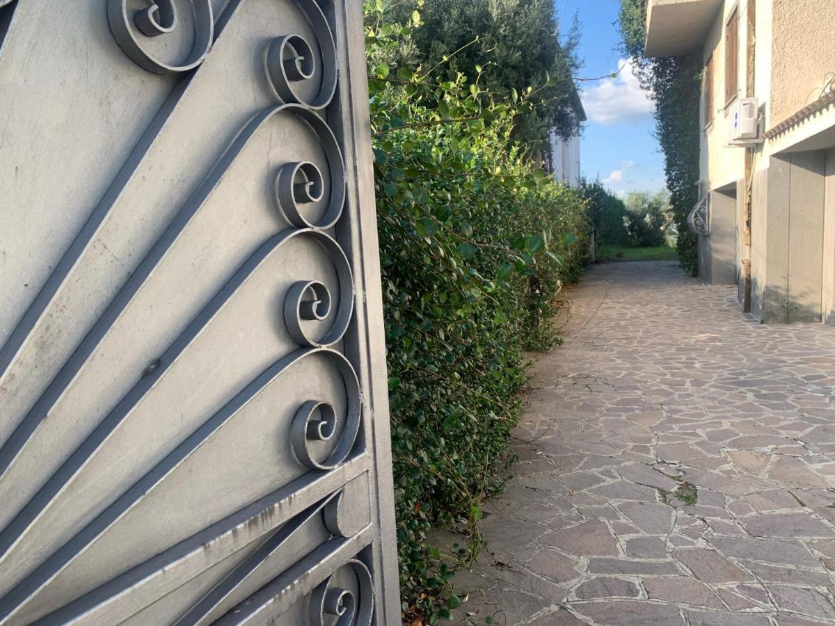 Villa Maximo Apartment Albano Laziale Εξωτερικό φωτογραφία